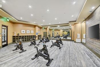 Spin bikes